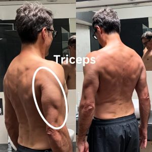 Tricep development after 7 months of my workout regimen